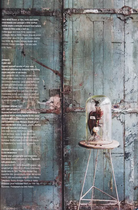 VISI magazine, Spring 2007 — page 3