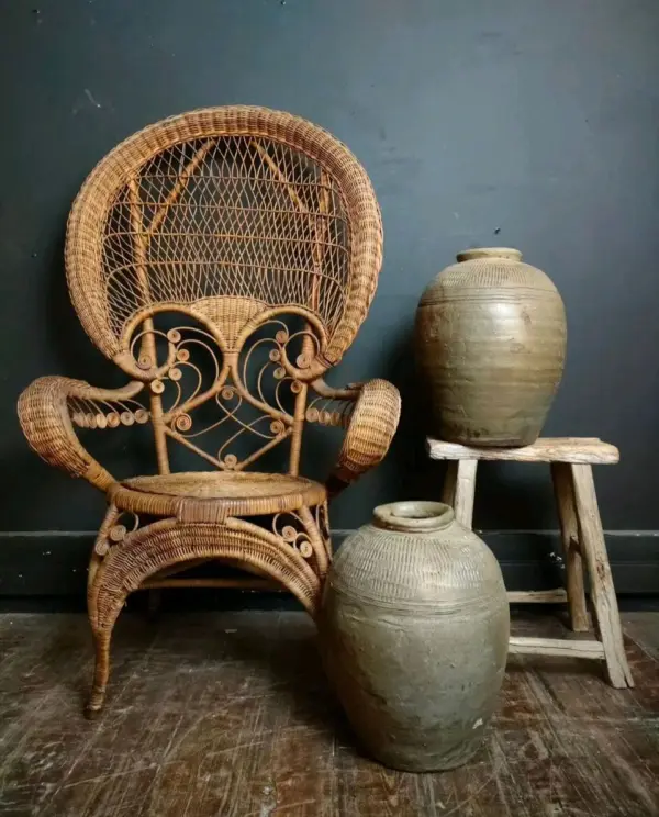 Rattan Peacock Chair and Vintage Pickling Pots