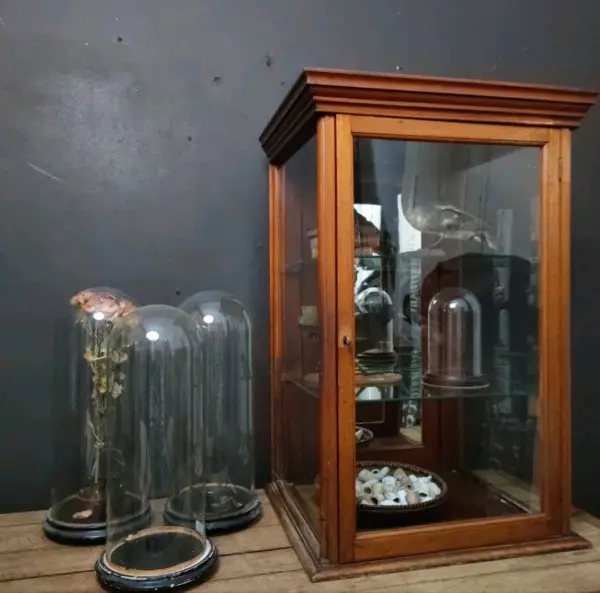 Small Wood and Glass Display Cabinet