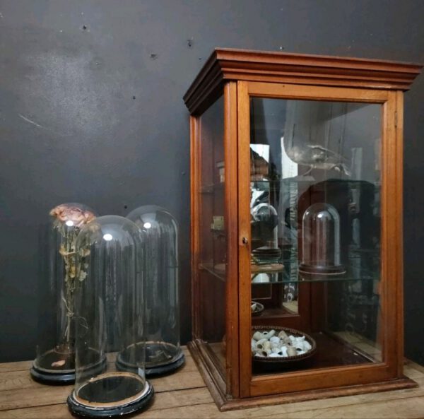 Small Wood and Glass Display Cabinet