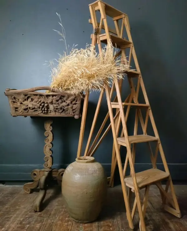 Vintage Light Wood Skeleton Ladder