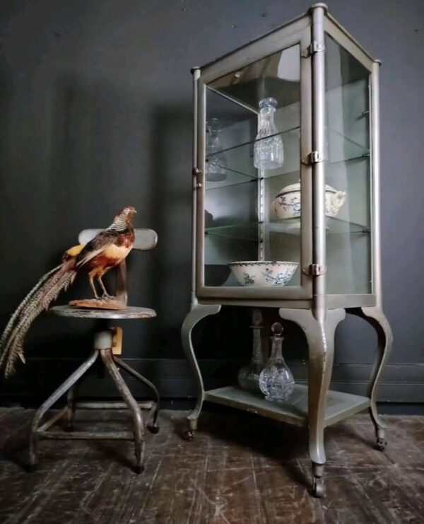 Metal and Glass Display Cabinet with Cabriole-Style Legs