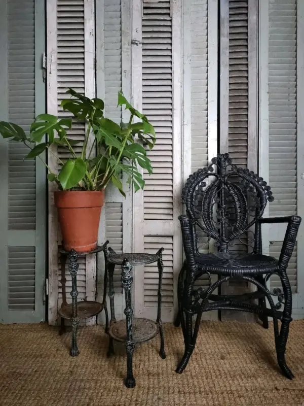 Black Peacock Chair & Argentinian Shutters