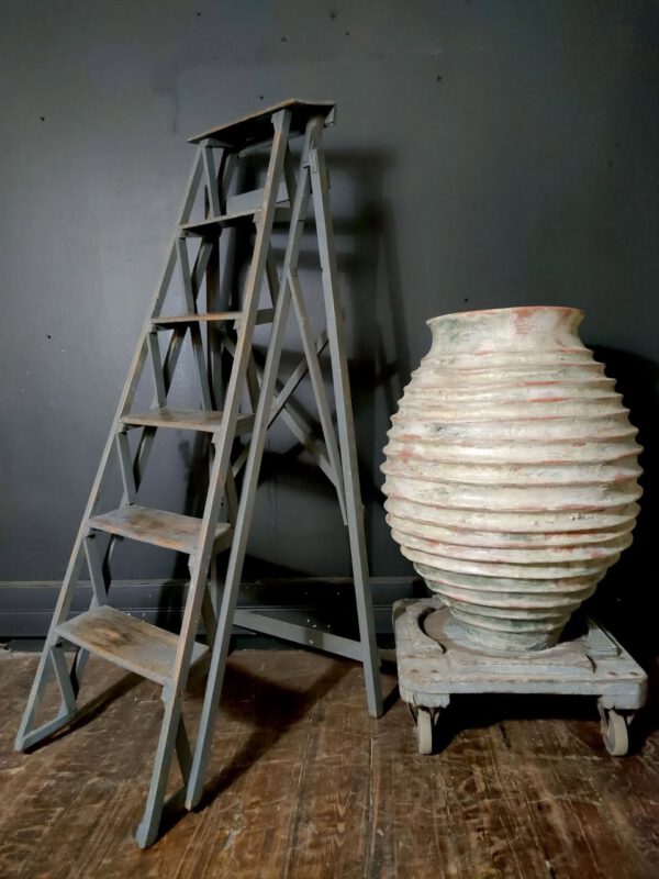 Grey Skeleton Ladder